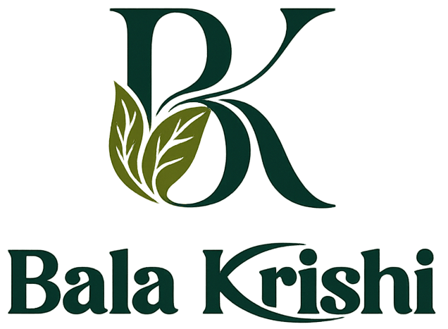 logo bk